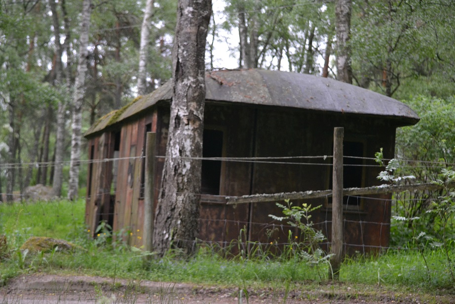 godsfinka.jpg, 276.21 kb, 922 x 615