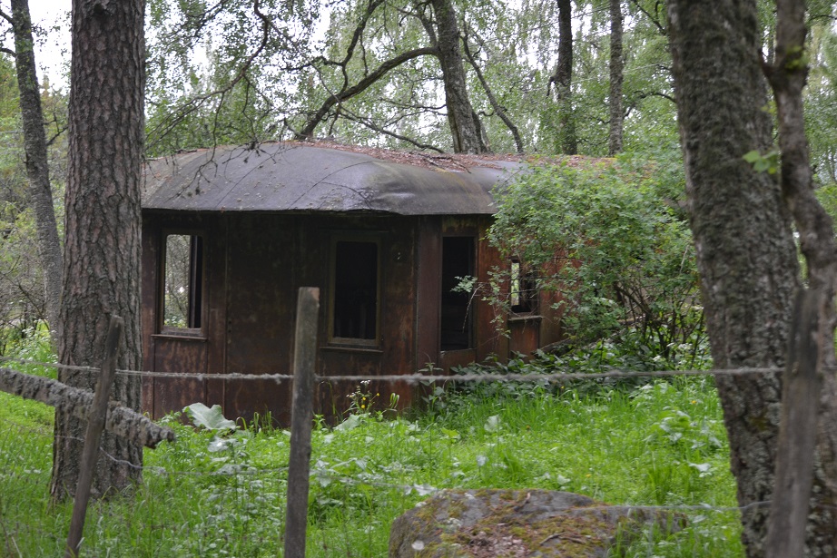 godsfinka2.jpg, 333.75 kb, 922 x 615