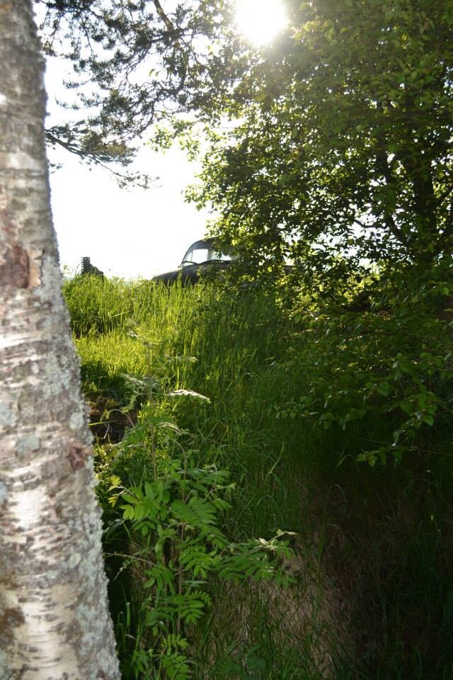 image.jpg, 229.44 kb, 640 x 960