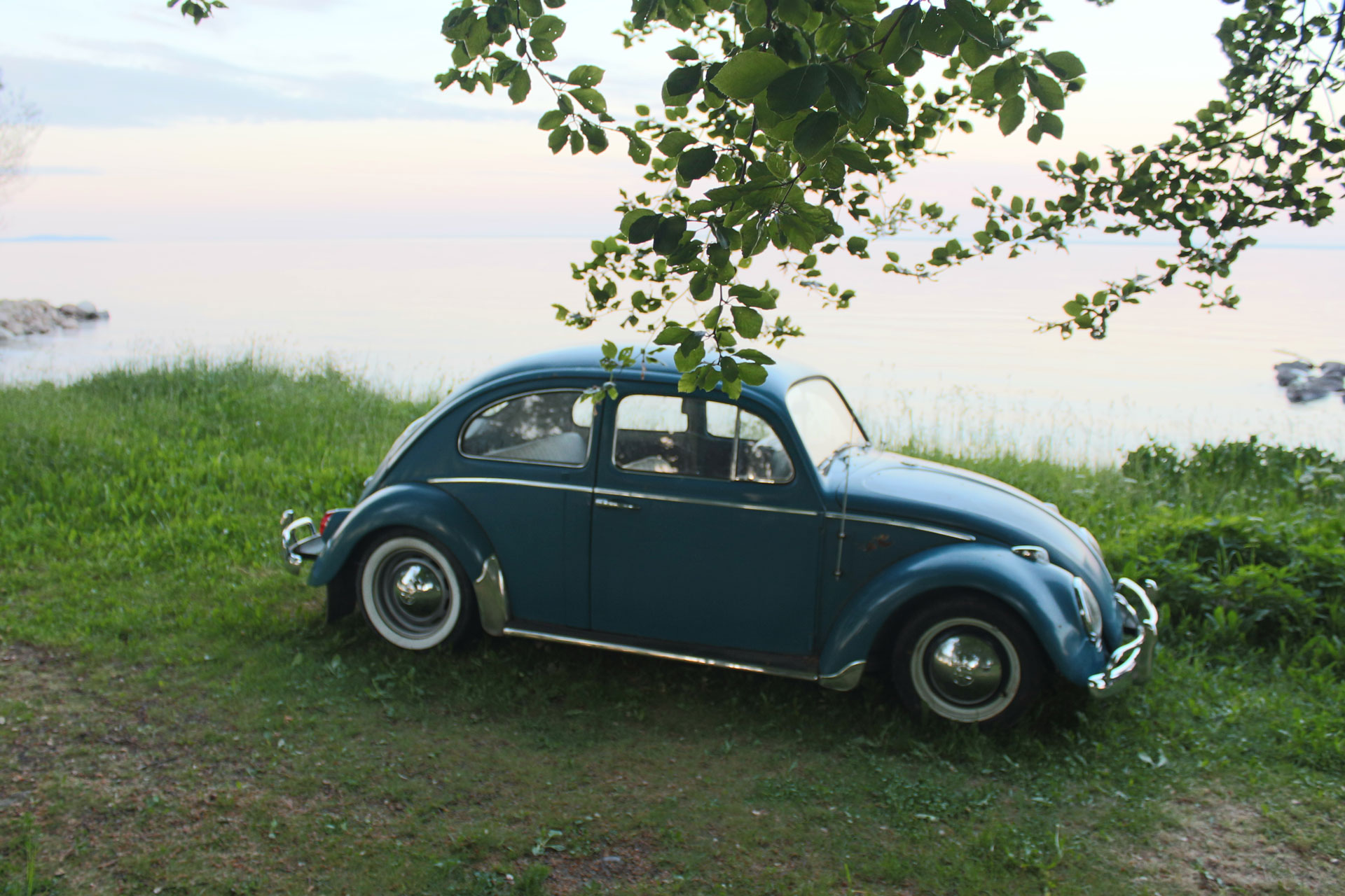 IMG_2051.jpg, 413.4 kb, 1920 x 1280