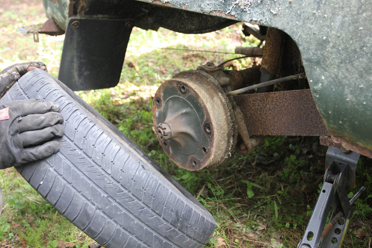 IMG_5954.JPG, 610.75 kb, 1556 x 1038