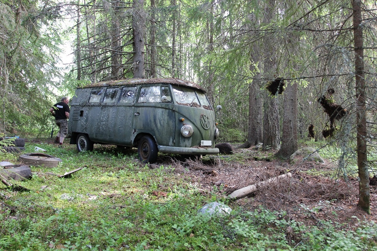 IMG_5956.JPG, 741.51 kb, 1245 x 831