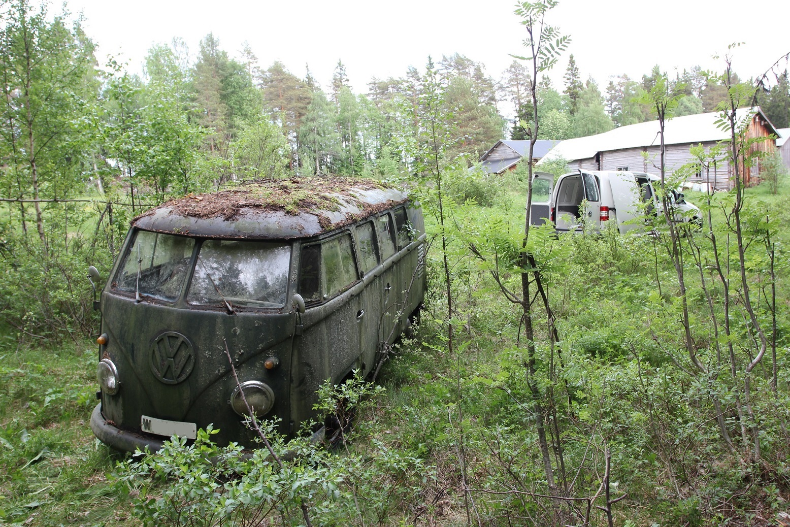 IMG_5971.JPG, 935.41 kb, 1556 x 1038