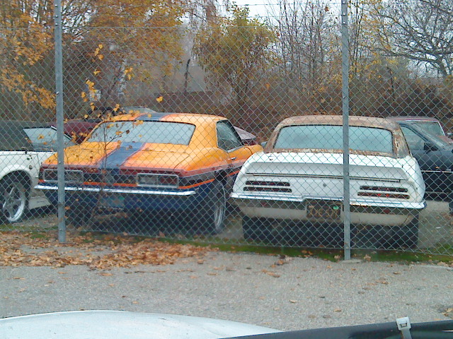 DSC00540.JPG, 169.83 kb, 640 x 480