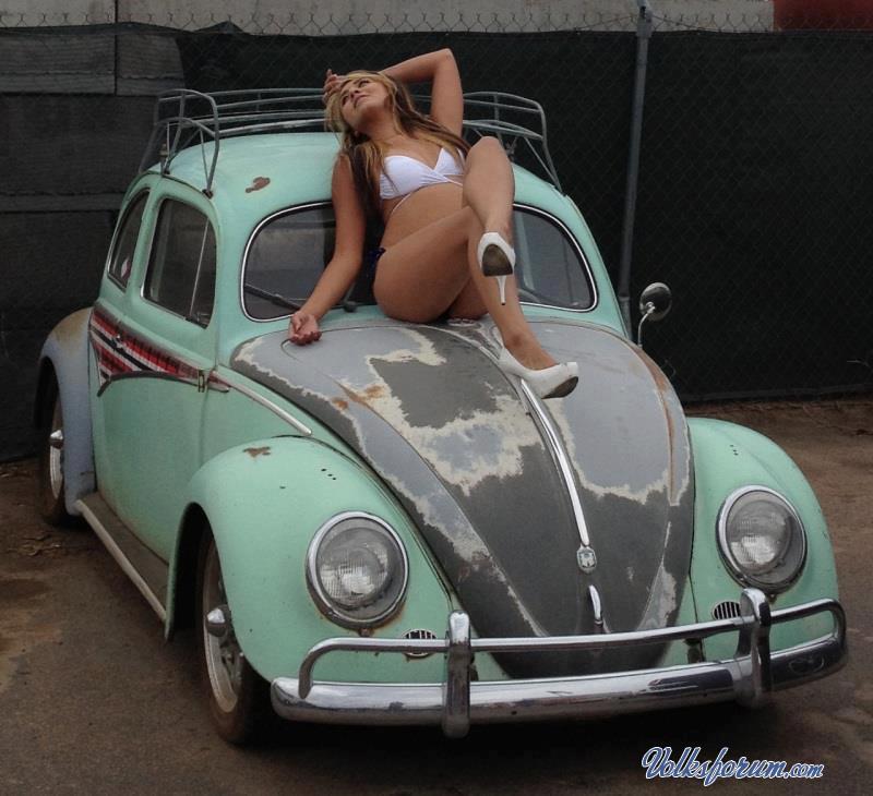 559973_443981362354485_906720394_n_original.jpg, 74.73 kb, 800 x 730