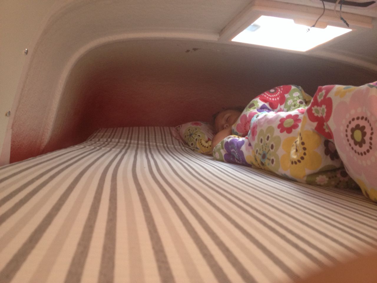 IMG_2712.jpg, 116.07 kb, 1280 x 960