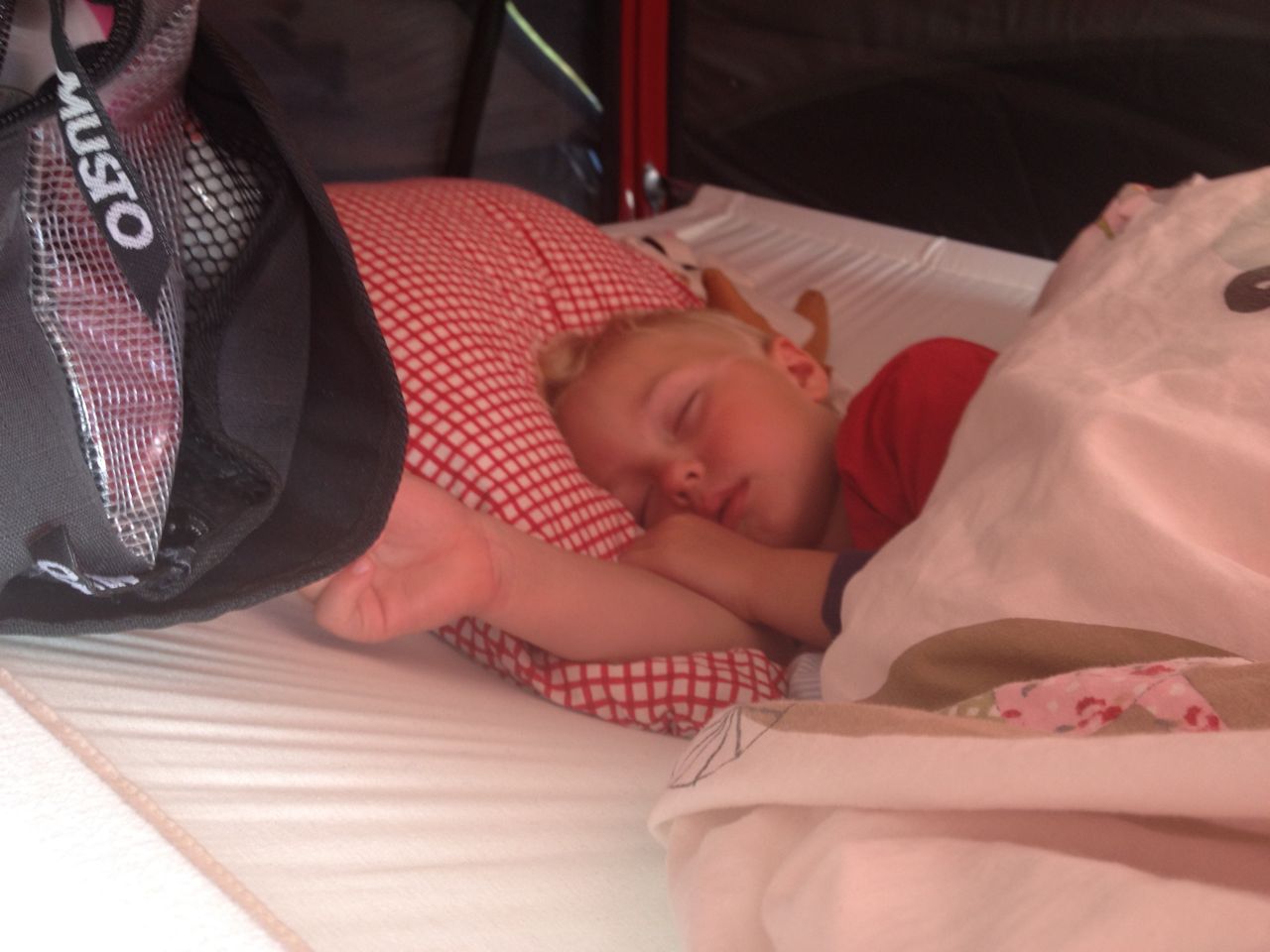 IMG_2711.jpg, 112.59 kb, 1280 x 960