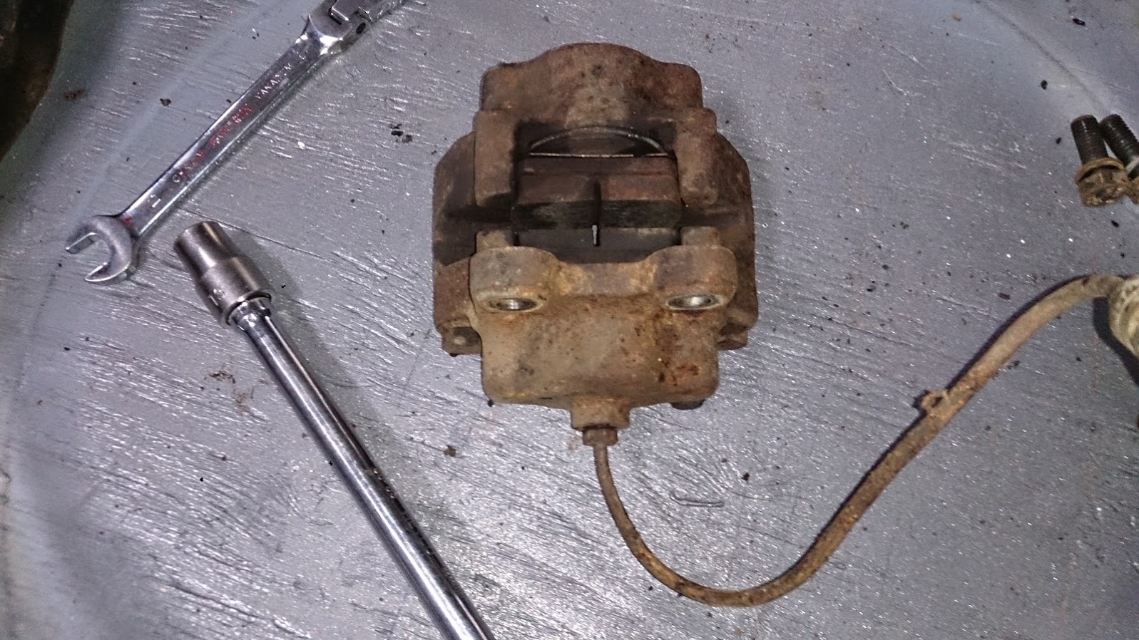 DSC_0422.JPG, 352.29 kb, 1597 x 898