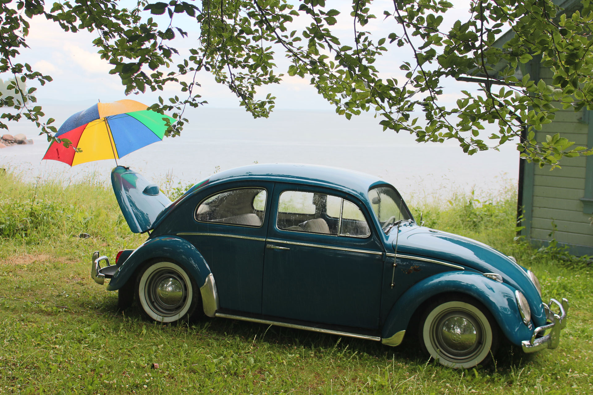 IMG_2095.jpg, 659.77 kb, 1920 x 1280