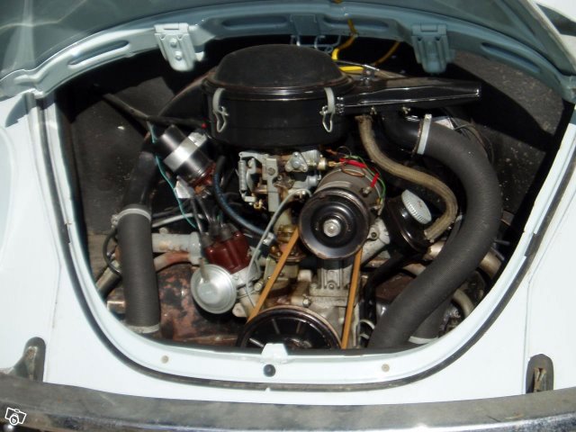 5464774909.jpg, 69.79 kb, 640 x 480