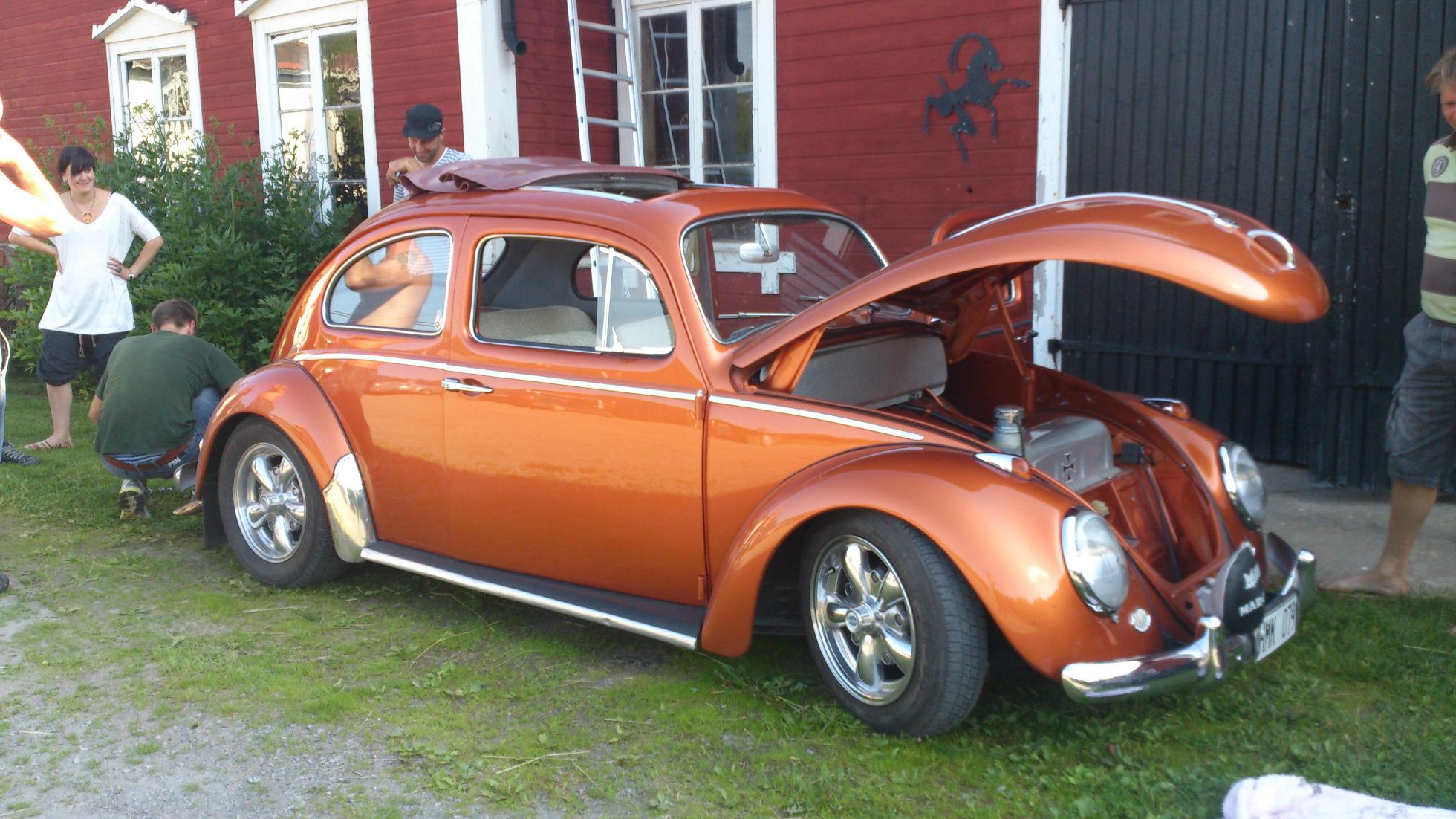 DSC_0528x.JPG, 293.25 kb, 1960 x 1102