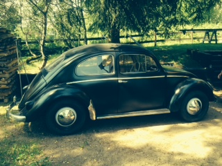 bild 2.JPG, 53.63 kb, 320 x 240