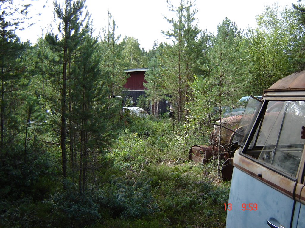 BD.jpg, 243.93 kb, 1024 x 768