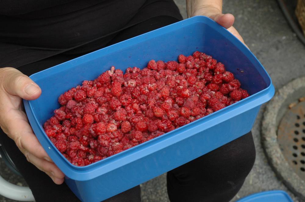 phpp3QuaaAM.jpg, 107 kb, 1000 x 664