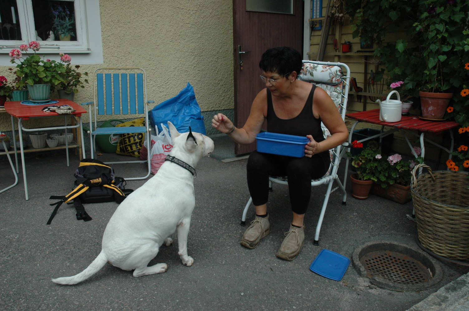 DSC_0729.JPG, 400.44 kb, 1504 x 1000