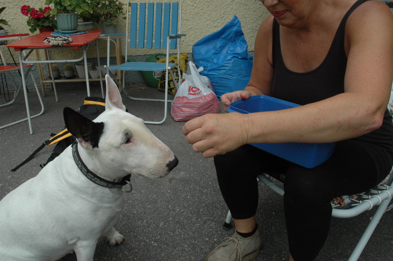 DSC_0734.JPG, 393.29 kb, 1504 x 1000