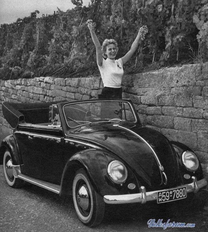 image_70908_original.jpg, 217.64 kb, 726 x 808