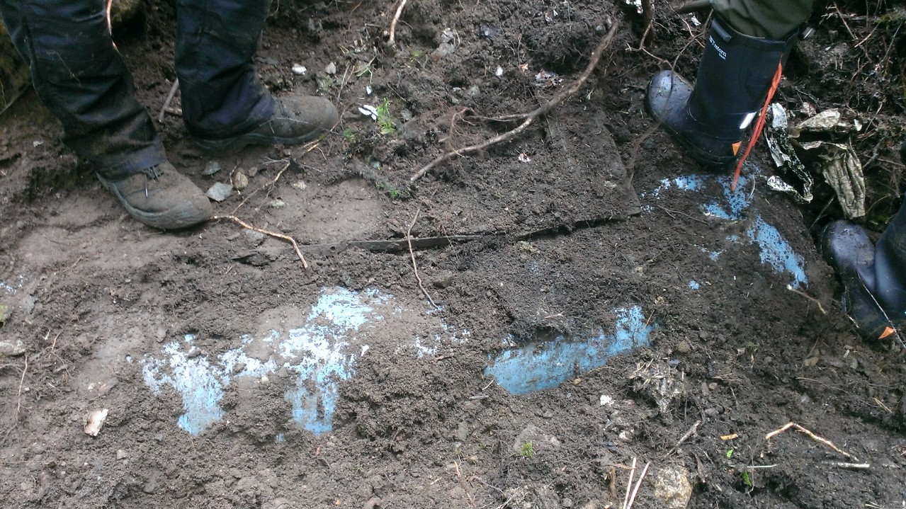 WP_20140702_001.jpg, 447.18 kb, 1279 x 719