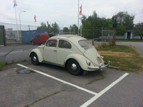 20140730_133011_resized.jpg, 67.36 kb, 480 x 360