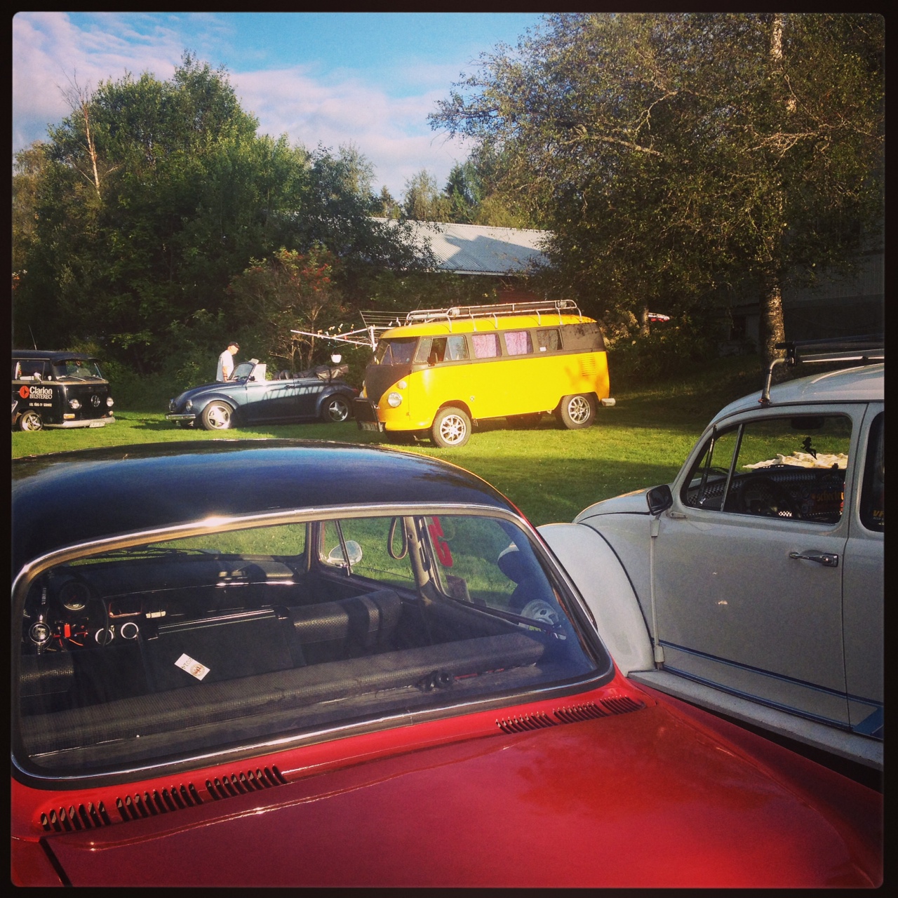 turri6.jpg, 688.42 kb, 1280 x 1280