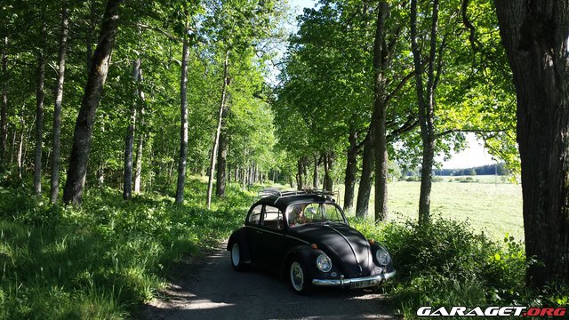 bugrun bild.jpg, 99.32 kb, 640 x 360