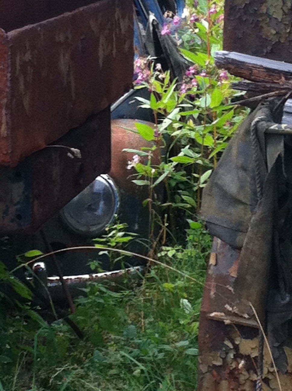 VW 1.JPG, 253.26 kb, 968 x 1296