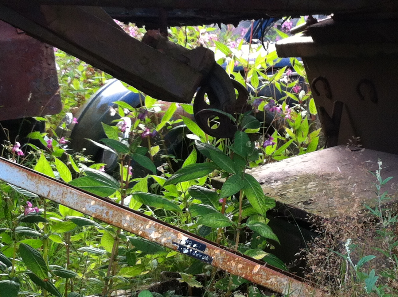 VW 2.JPG, 564.14 kb, 1296 x 968