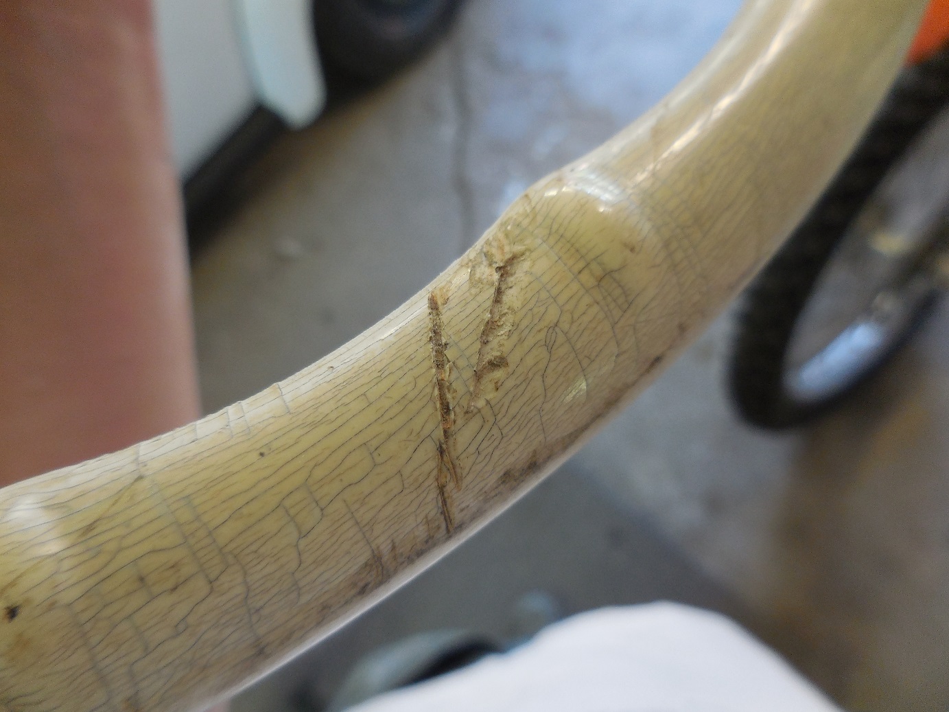 DSCN1277.JPG, 407.66 kb, 1383 x 1037