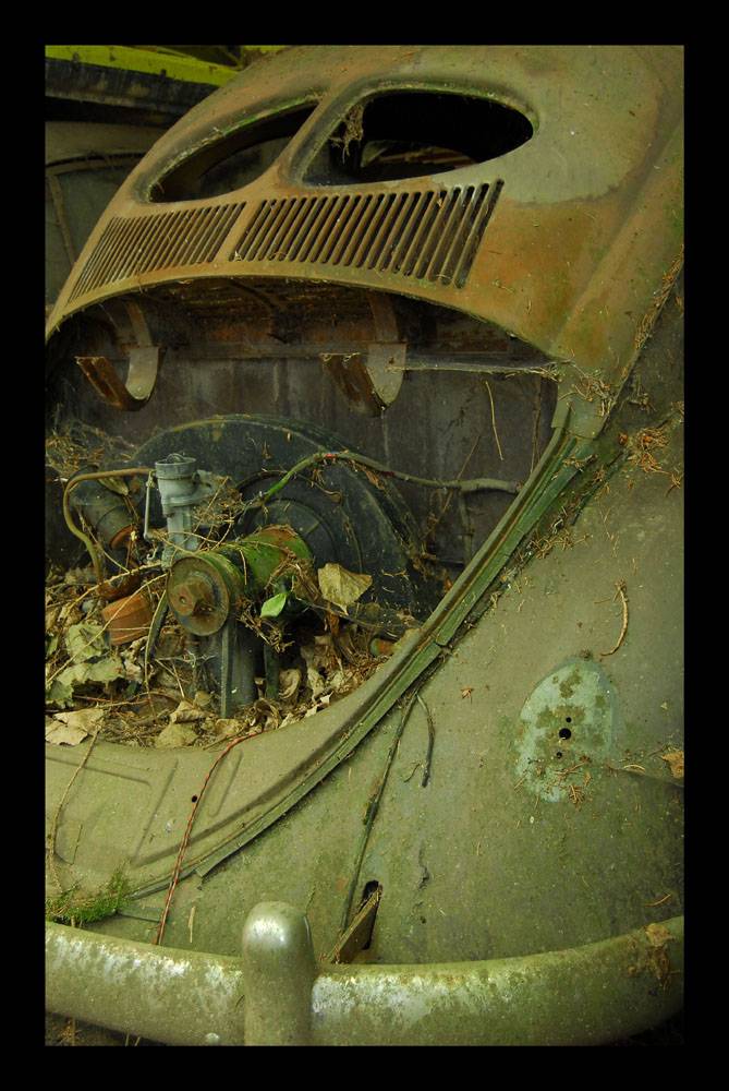 phpB5hxk8AM.jpg, 112.04 kb, 669 x 1000