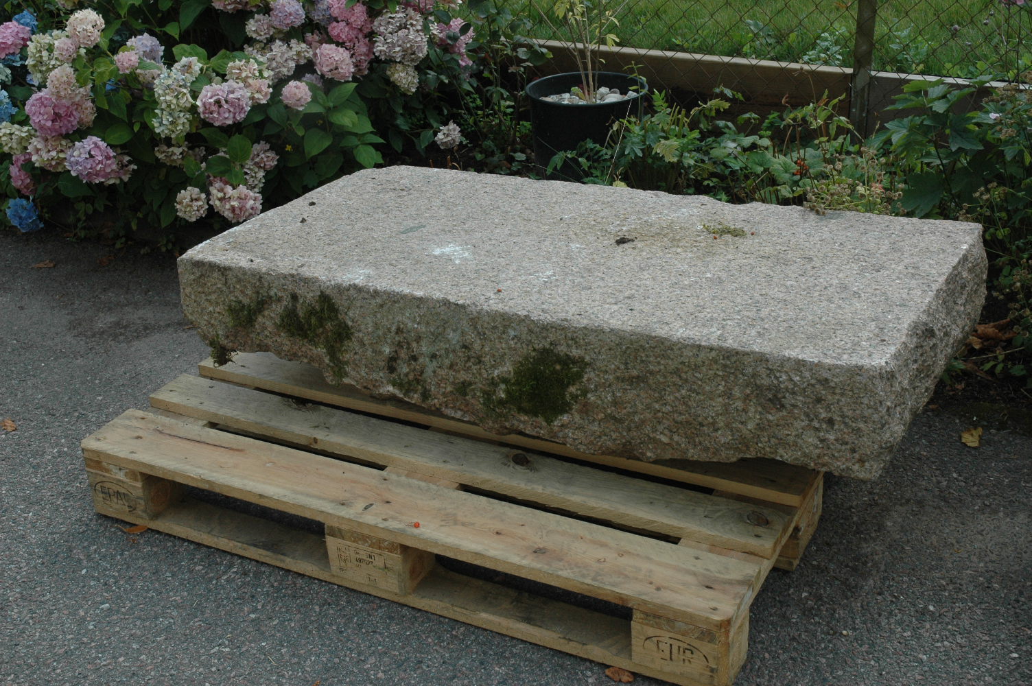 DSC_0818.JPG, 402.83 kb, 1504 x 1000