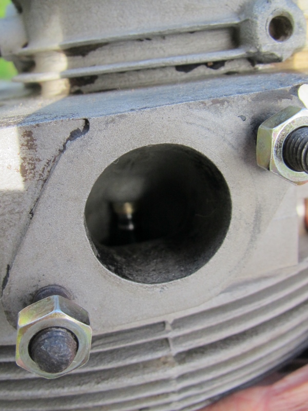 IMG_3733 (600x800).jpg, 233.71 kb, 600 x 800