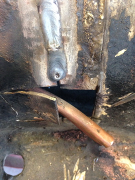 IMG_0318.jpg, 62.33 kb, 270 x 360