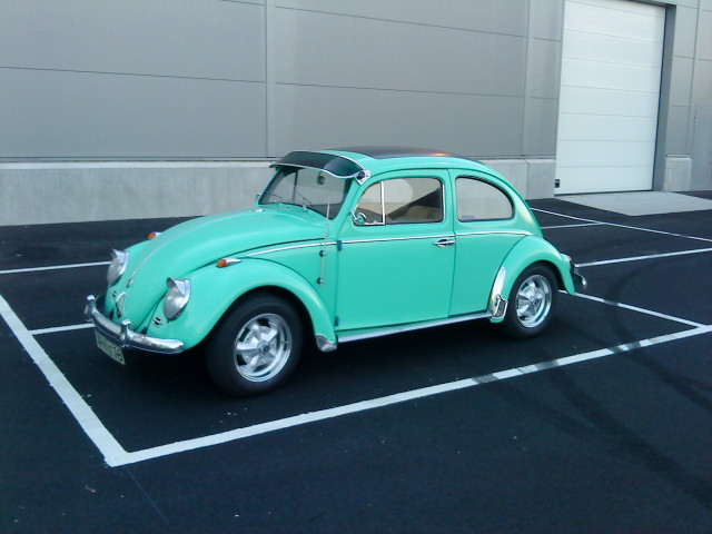 DSC00558.JPG, 76.72 kb, 640 x 480