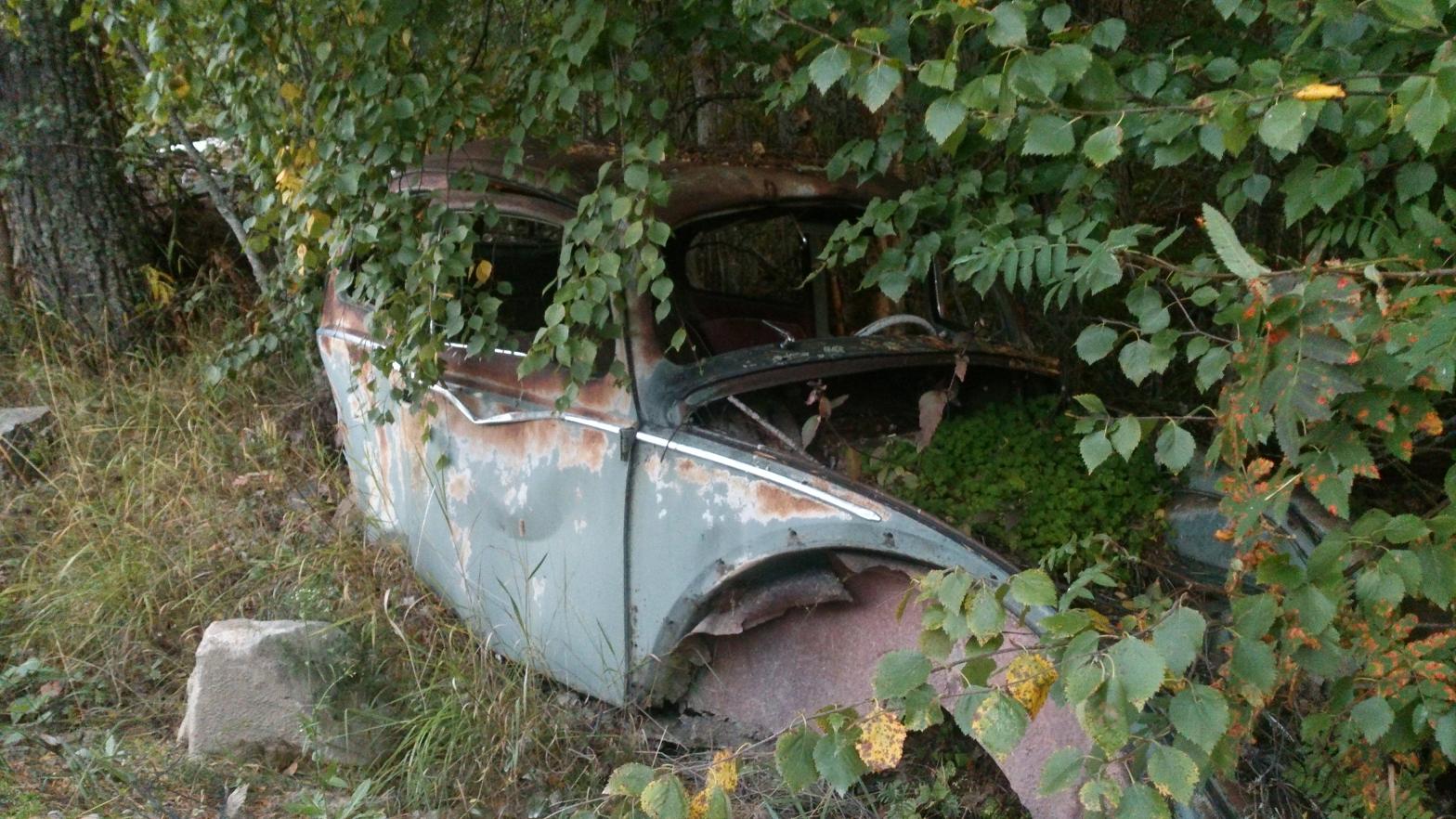 xxx.JPG, 258.06 kb, 1568 x 882