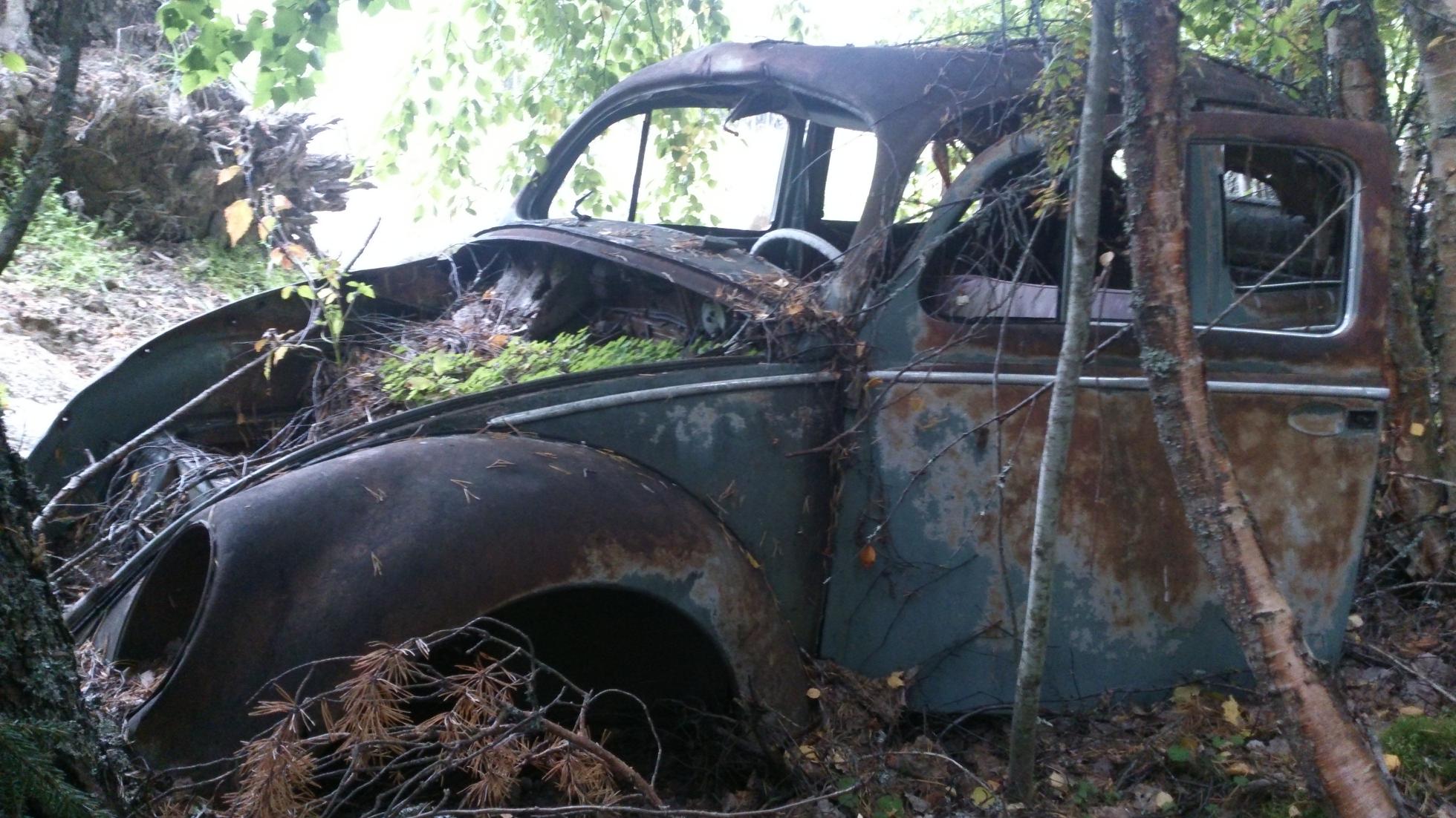 DSC_0792.JPG, 312.63 kb, 1960 x 1102