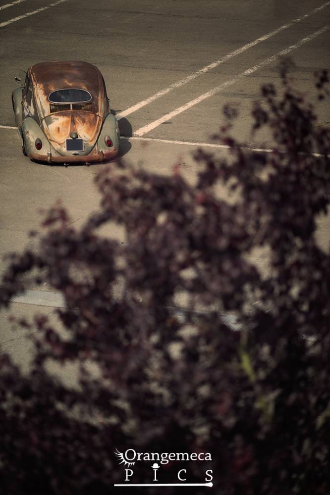 phpa0pU48PM.jpg, 63.43 kb, 666 x 1000