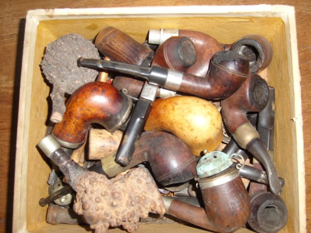 pipor.jpg, 64.91 kb, 640 x 480