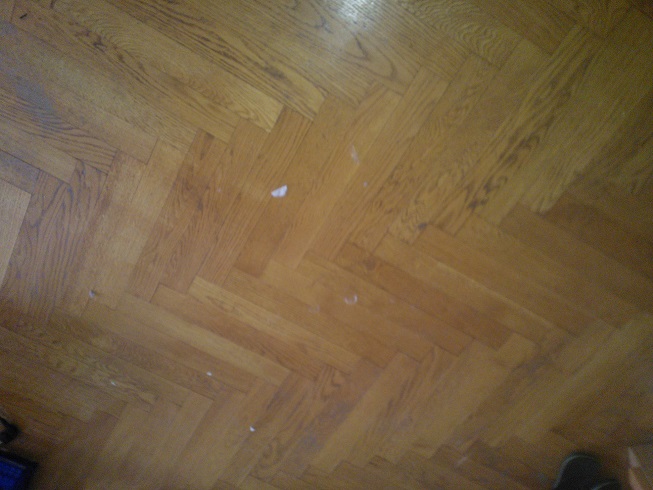 WP_000133 - Copy.jpg, 103.49 kb, 653 x 490