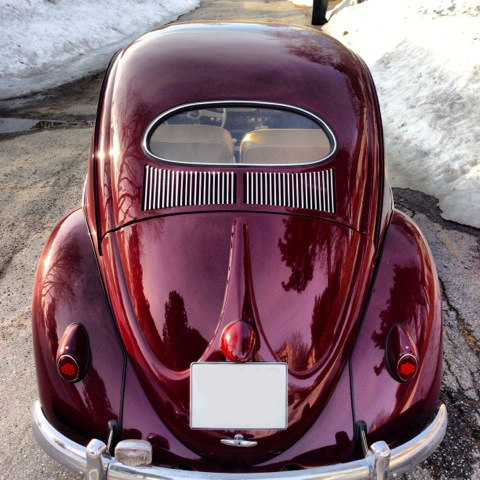 IMG_3652.jpg, 212.53 kb, 480 x 480