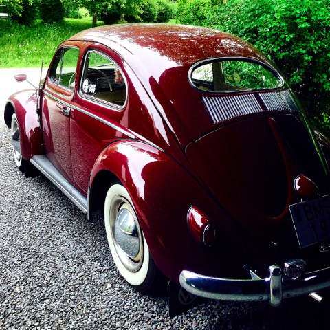 IMG_4526.jpg, 284.78 kb, 480 x 480