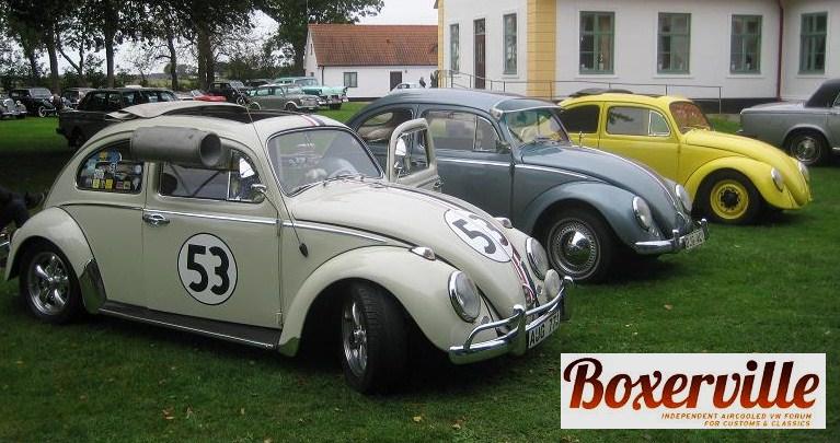 Gul 1.JPG, 81.76 kb, 767 x 405