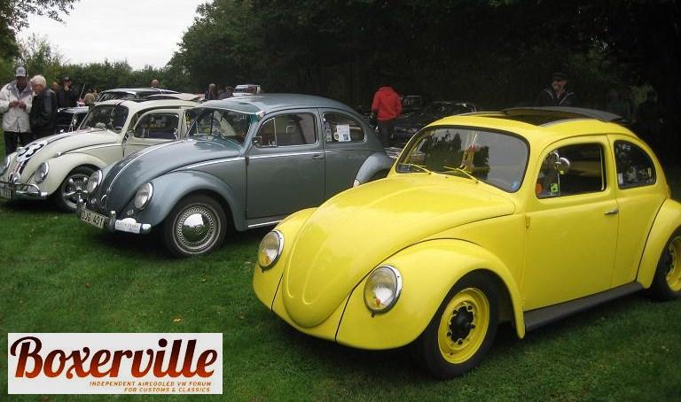 Gul 5.JPG, 75.27 kb, 768 x 454