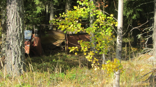 IMG_3398.JPG, 165.15 kb, 640 x 360