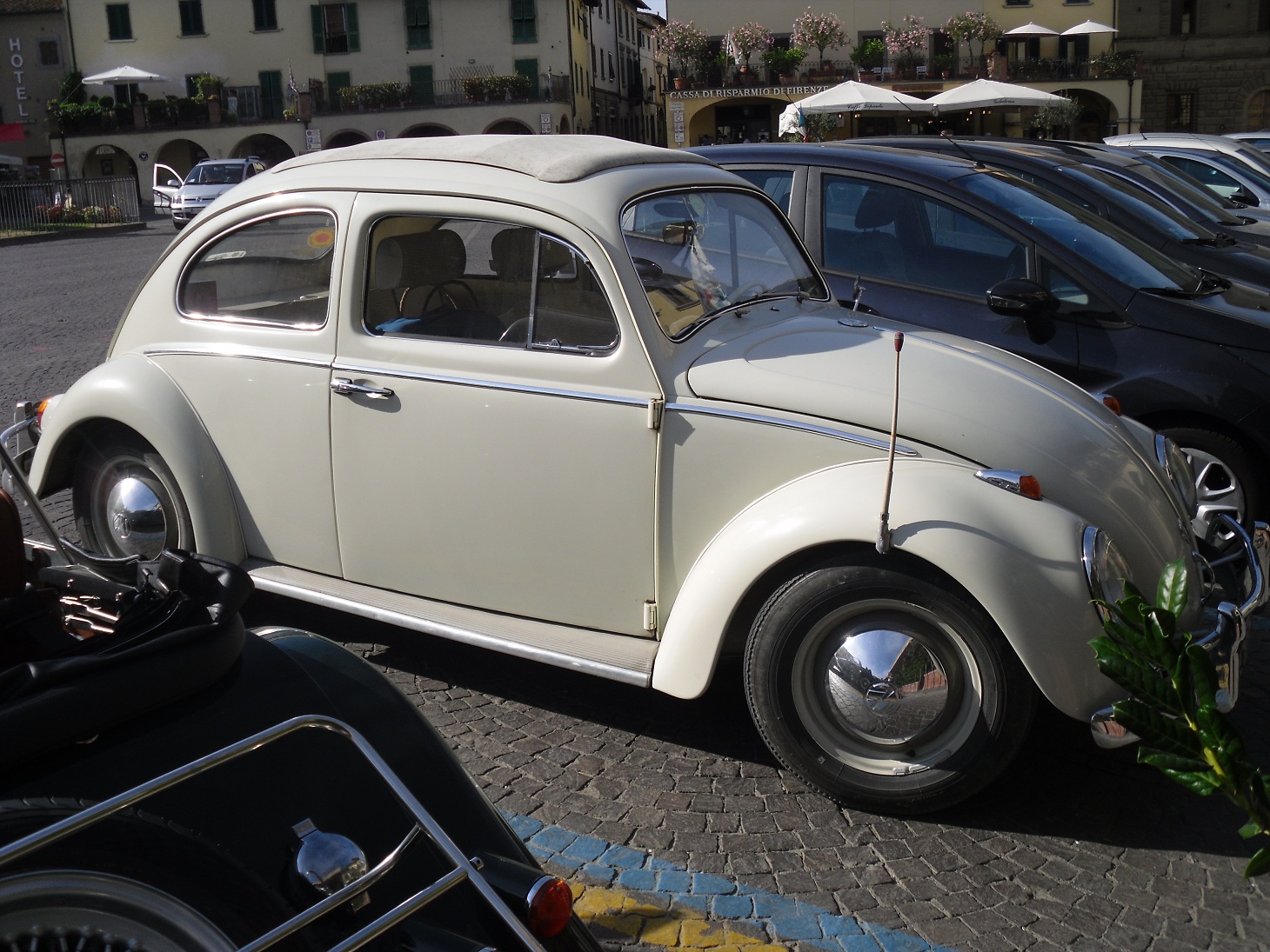 SDC11422.JPG, 611.71 kb, 1460 x 1095