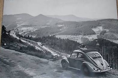 558125[1].jpg, 16.55 kb, 393 x 260