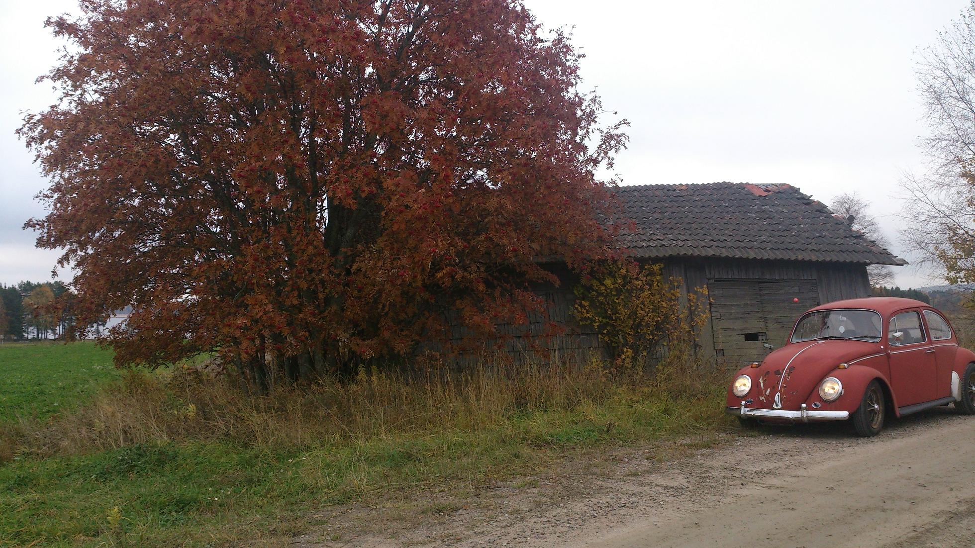 DSC_0987.JPG, 472.78 kb, 1960 x 1102