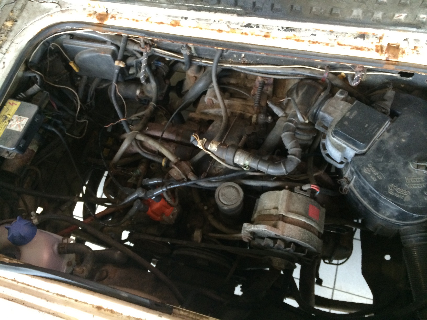 IMG_0124.JPG, 522.79 kb, 1632 x 1224