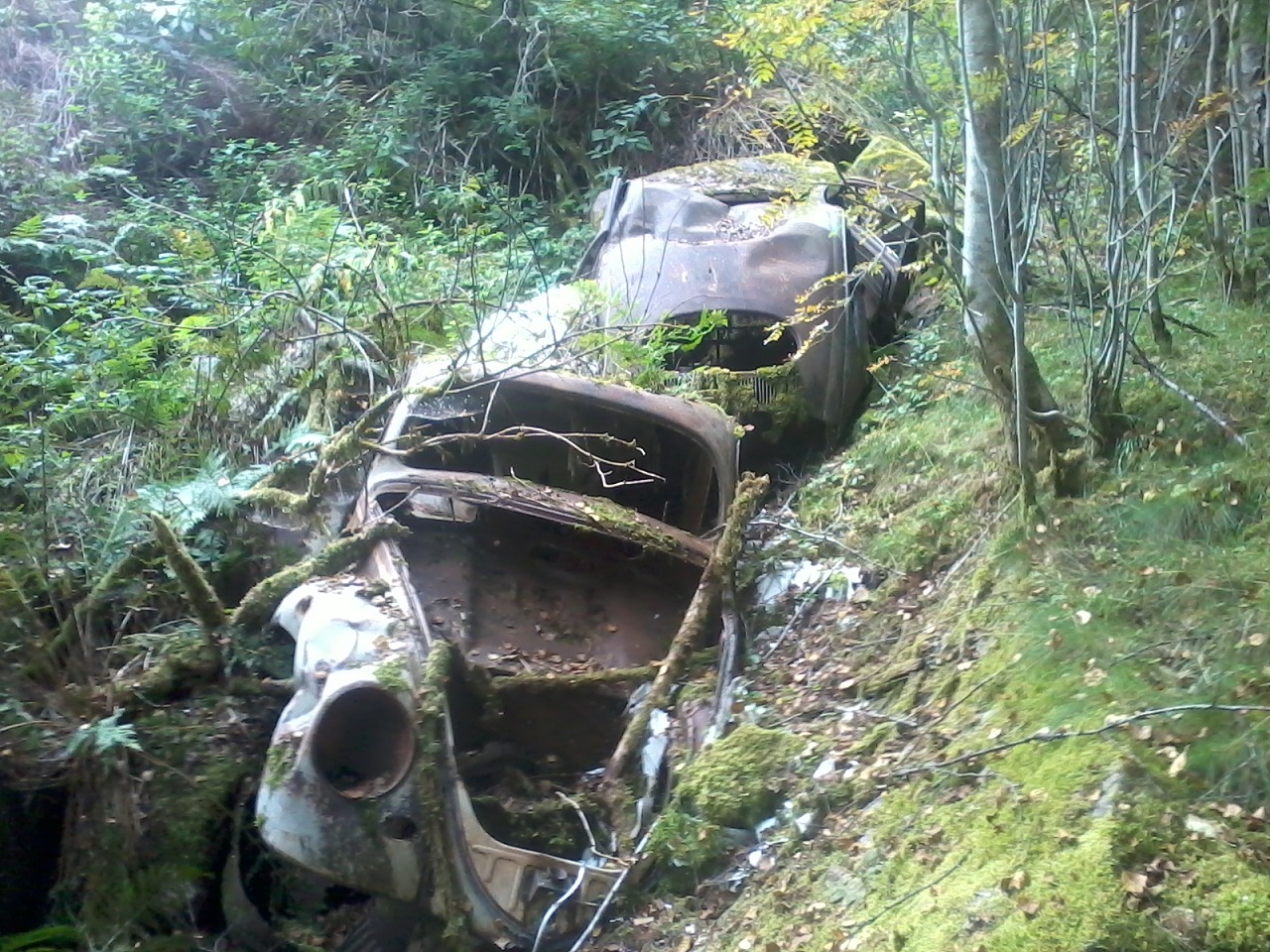 Foto0651.jpg, 560.04 kb, 1280 x 960