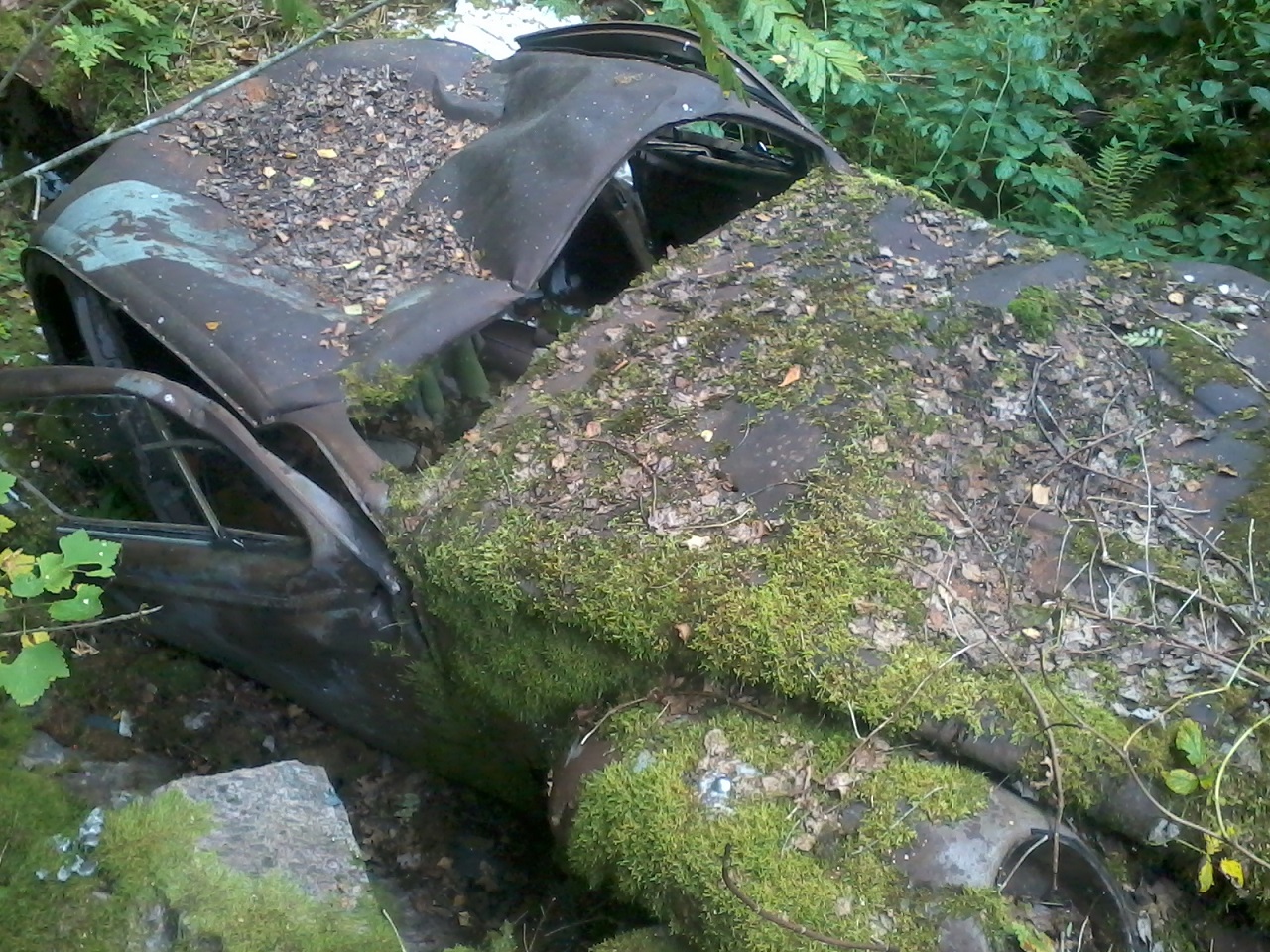 Foto0652.jpg, 535.53 kb, 1280 x 960