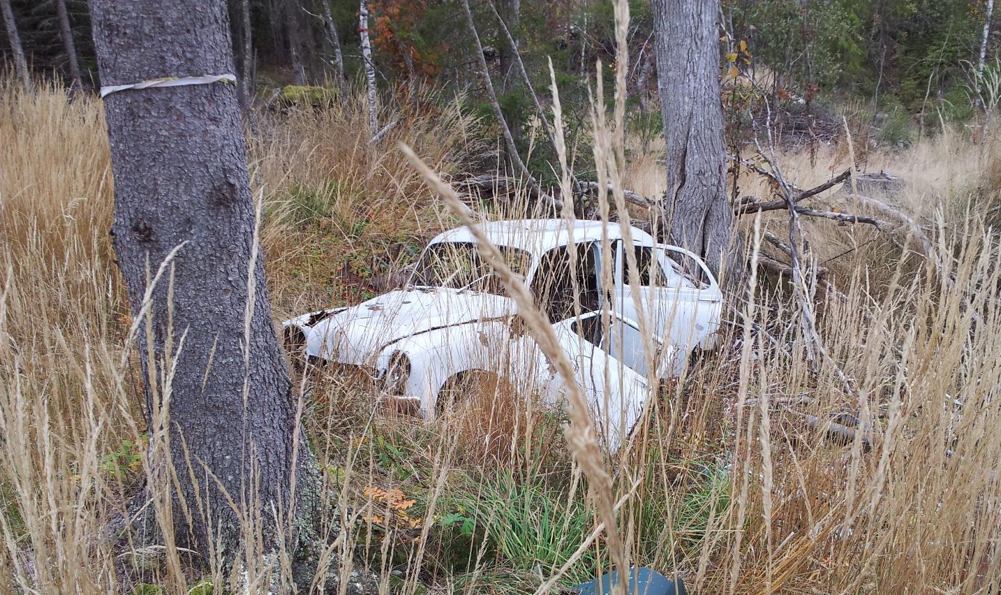 Bil 1.jpg, 431.84 kb, 1434 x 852